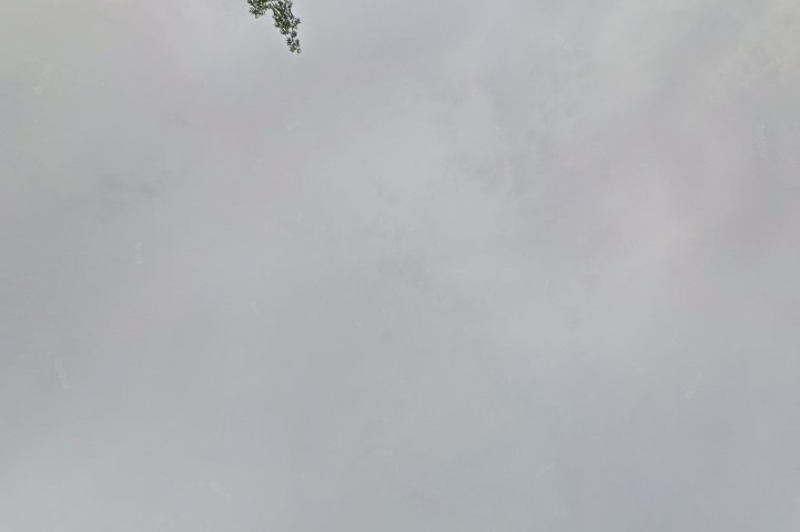 Stacja Kontroli Pojazdów