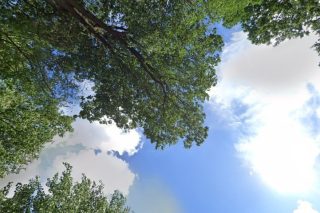 Okręgowa stacja kontroli pojazdów